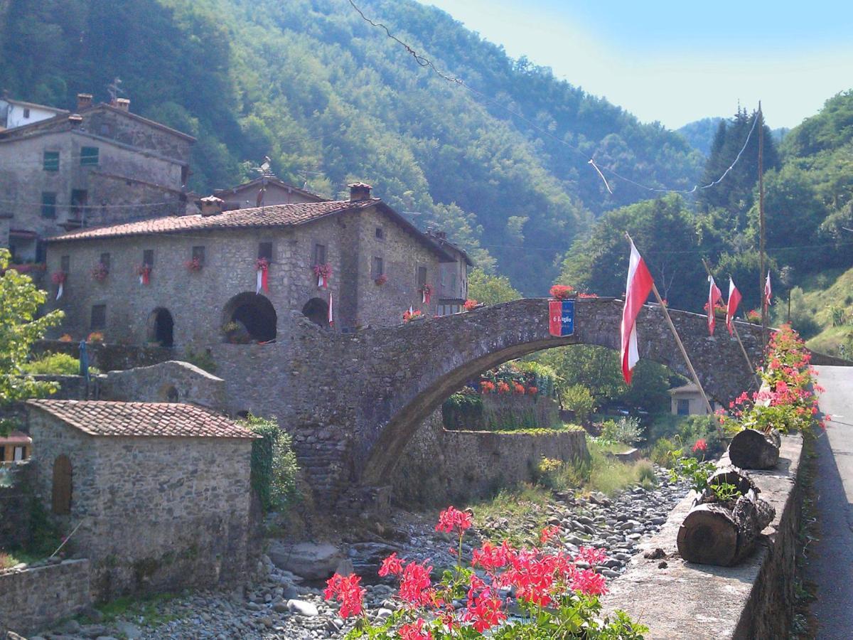 Belvilla By Oyo Olivi Verde San Quirico  Esterno foto