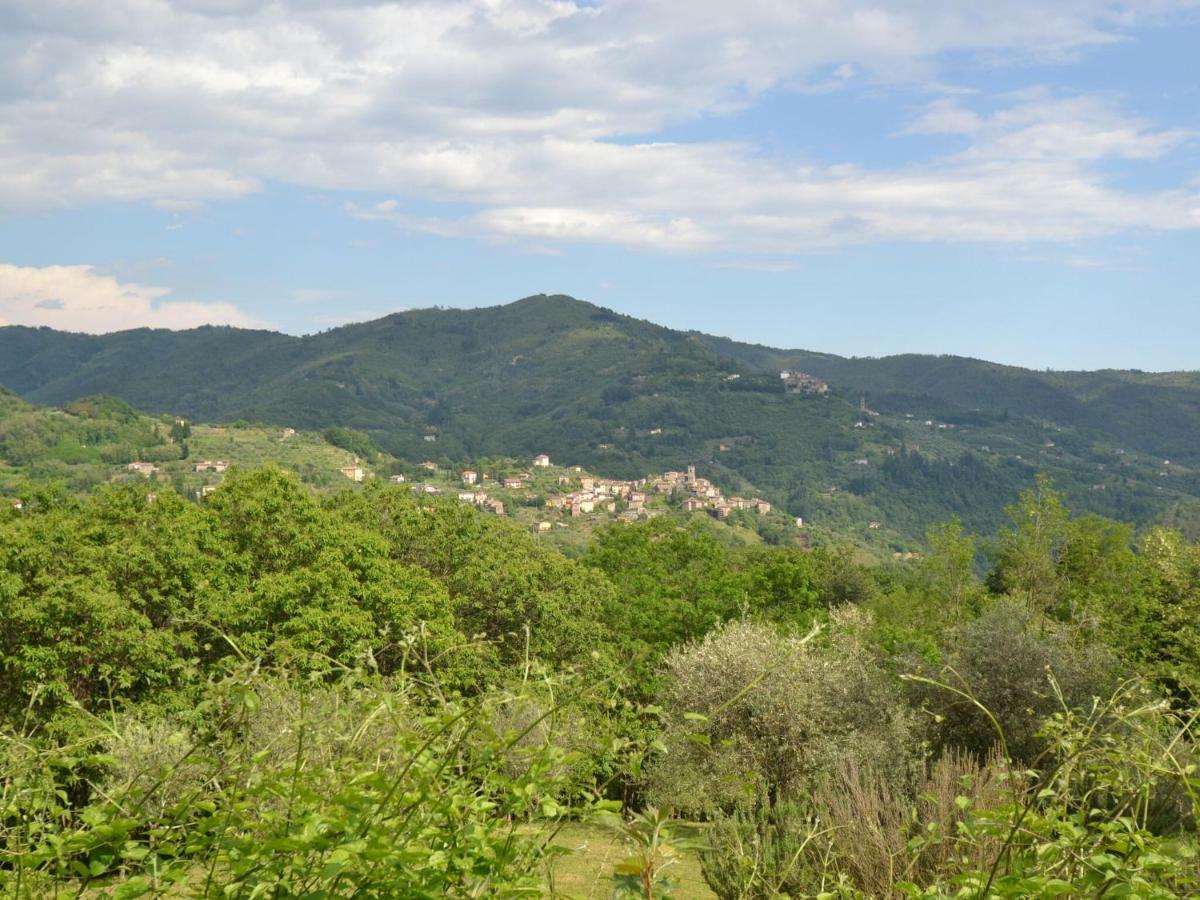 Belvilla By Oyo Olivi Verde San Quirico  Esterno foto